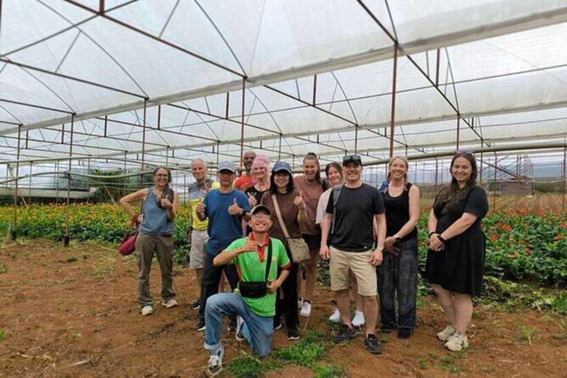 Dalat Countryside & Pongour Waterfall Tours (Small Group) - Van Thanh Flower Village and Dalat’s farming economy