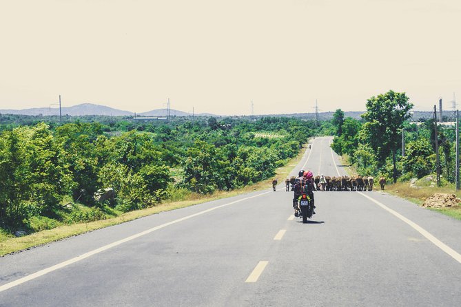 Dalat Go Kart - Mongoland & Dalat Countryside Group Tour - What this Da Lat day trip is really about