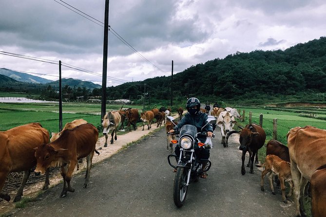 Dalat Go Kart - Mongoland & Dalat Countryside Group Tour - Mê Linh Coffee and Da Lat’s highland crops