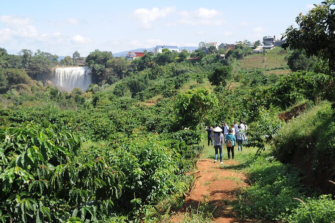 Dalat's countryside|Coffee Plantations Tour beyond Elephant falls - Starting with coffee varieties and quality