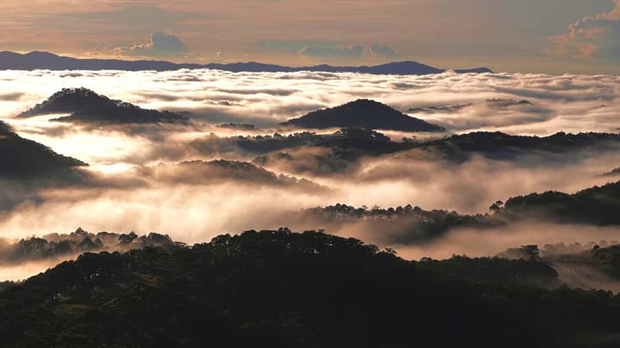 Dalat: Sunrise Trekking and Cloud Hunting experience - What I would know before booking