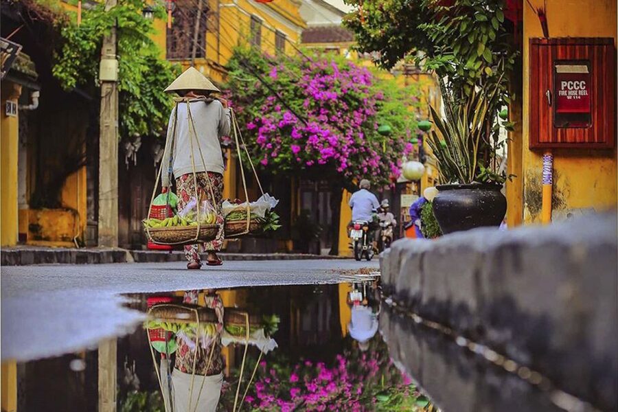 Danang: Hoi An, Marble Mountains or Bay Mau Coconut Forest - Key points to know before booking