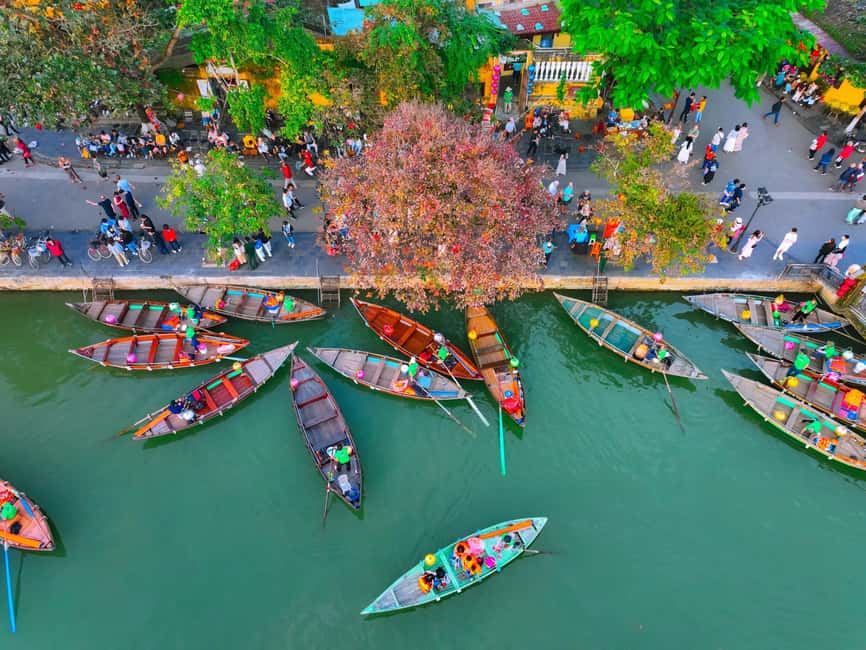 Danang: Hoi An, Marble Mountains or Bay Mau Coconut Forest - Bay Mau Coconut Forest for a lighter alternative