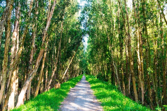 Discover Mua Xuan Nature Reserve - The lookout tower and the 30-minute forest walk