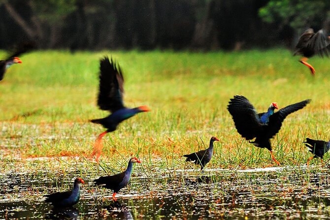 Discover Mua Xuan Nature Reserve - Cruising the Mua Xuan waterways