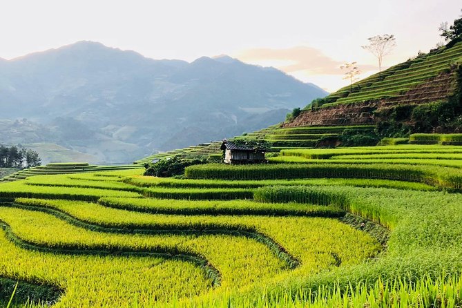 Discover the Beauty of Sa Pa: A One-Day Trek - Why the Muong Hoa Valley Makes This Trek Worthwhile
