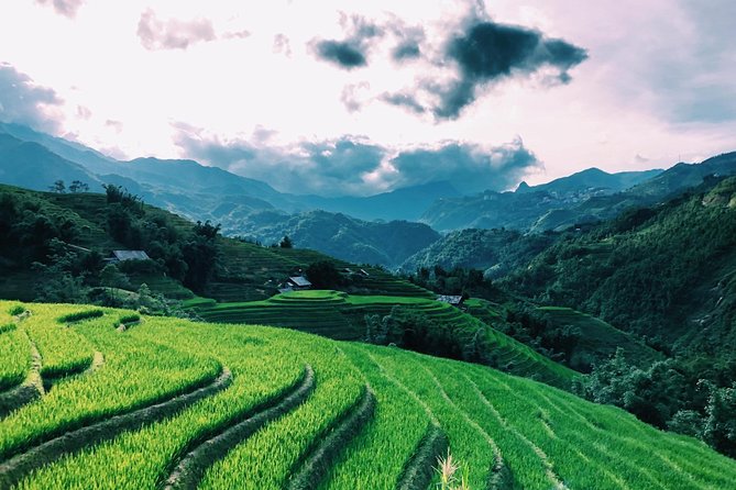 Discover the Beauty of Sa Pa: A One-Day Trek - Ta Van: A Smaller Community by the Streams