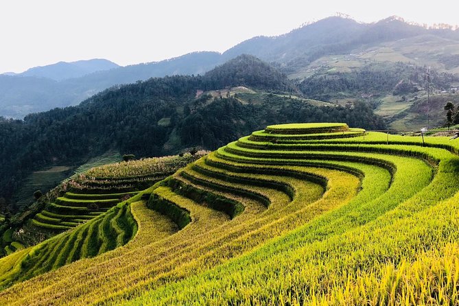 Discover the Beauty of Sa Pa: A One-Day Trek - Guides Make the Difference