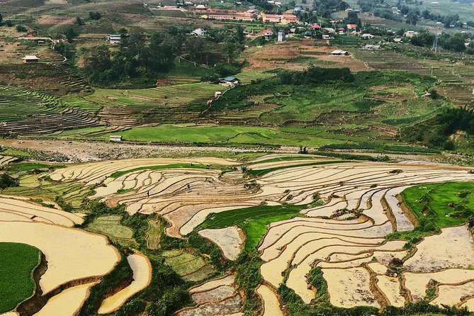 Discover the Beauty of Sa Pa: A One-Day Trek - Rain, Fog, and Mud: The Main Tradeoff