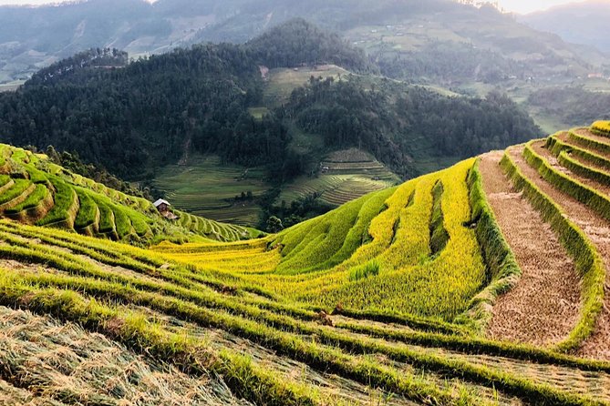 Discover the Beauty of Sa Pa: A One-Day Trek - Who Should Book This Sa Pa Trek?