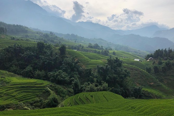 Discover the Beauty of Sa Pa: A One-Day Trek - Lao Chai: The Main Village Stretch