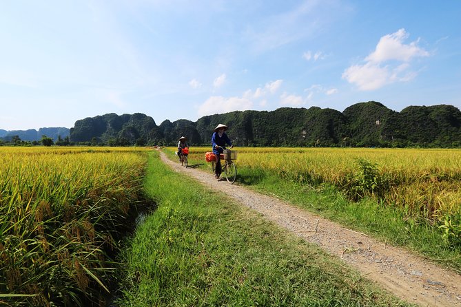 Discover Trang An Natural World Heritage, Bich Dong Pagoda, Cycling Day Tour - A Vietnamese lunch with a regional focus