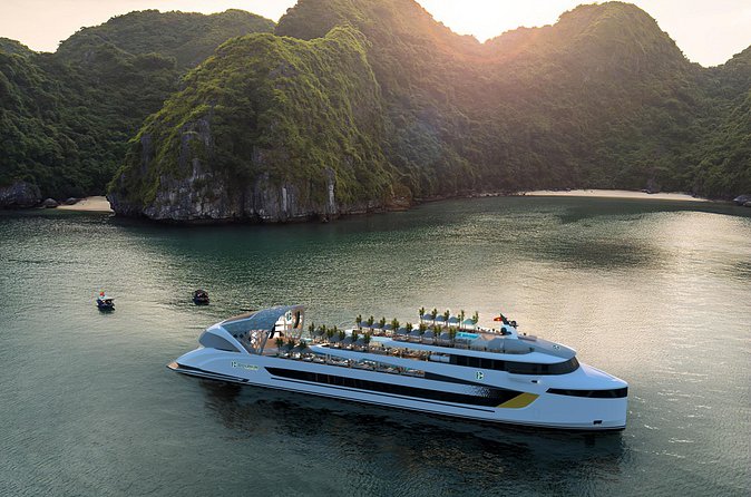 Dolphin Cruise – Experience Halong Bay in Timeless Luxury - Luon Cave by kayak or bamboo sampan