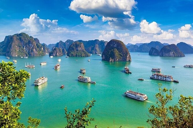 Elite of The Seas - Top Vip Luxury Cruise in Halong Bay ( 2D1N ) - Activities without a large extra bill