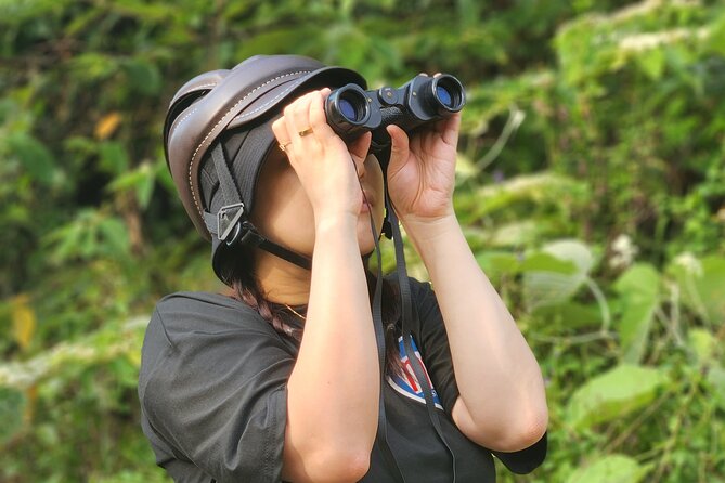 Endangered Monkeys Watching - Red Shanked Douc Langurs - The ride from Esco Beach to Monkey Mountain