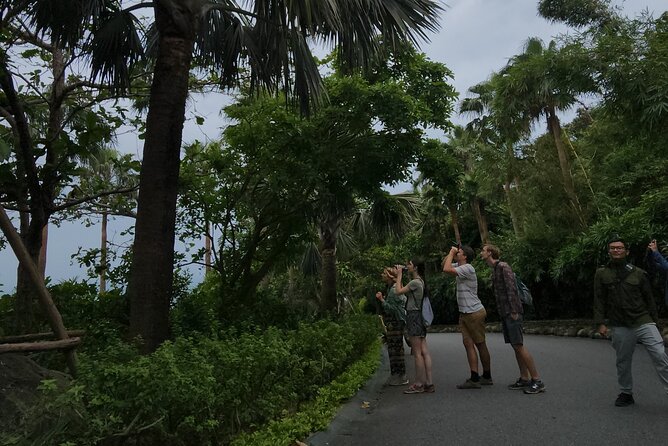 Endangered Monkeys Watching - Red Shanked Douc Langurs - Practical tips for a better monkey search