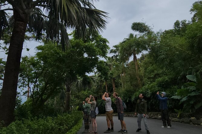 Endangered Monkeys Watching - Red Shanked Douc Langurs - Searching the trees with binoculars
