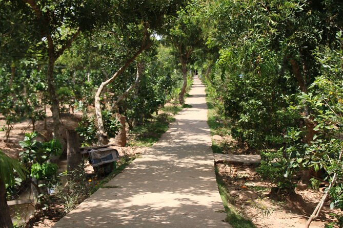 Essential Mekong Delta: Highlights Tour from Ho Chi Minh City - Vĩnh Tràng Pagoda and its Southern style