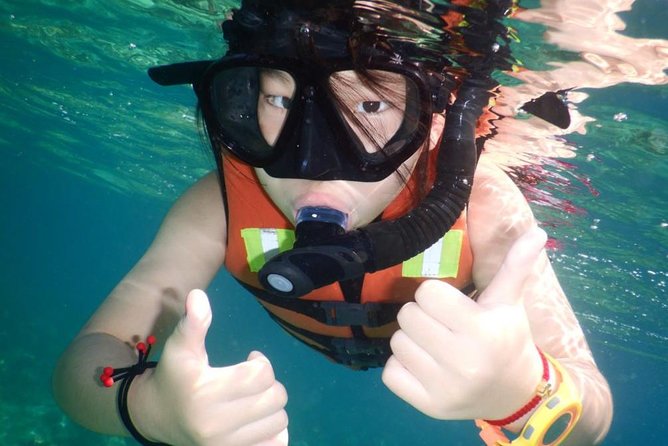 Explore Nha Trang Bay: Half-Day Snorkeling Adventure Tour - Equipment, Wetsuits, and Help in the Water