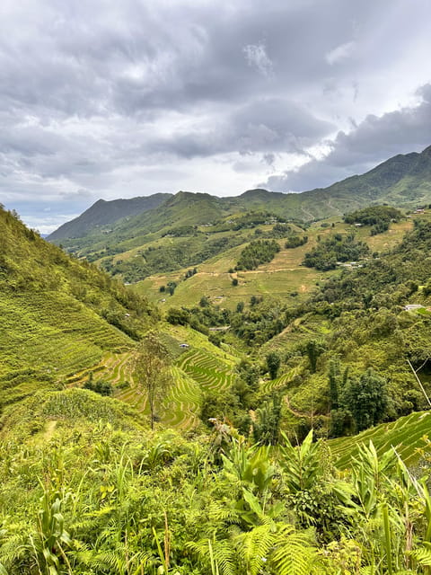 Explore Sapa by TrekkingAdventures, Mountain,Rice fields - Who should book this Sapa trek?
