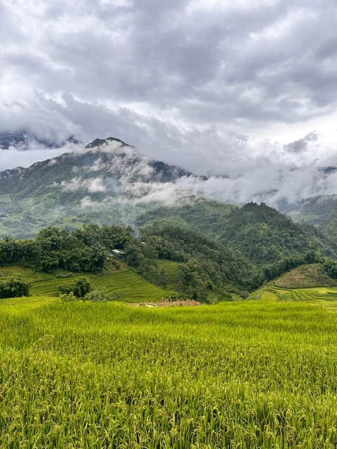 Explore Sapa by TrekkingAdventures, Mountain,Rice fields - The trail conditions and the choice of routes