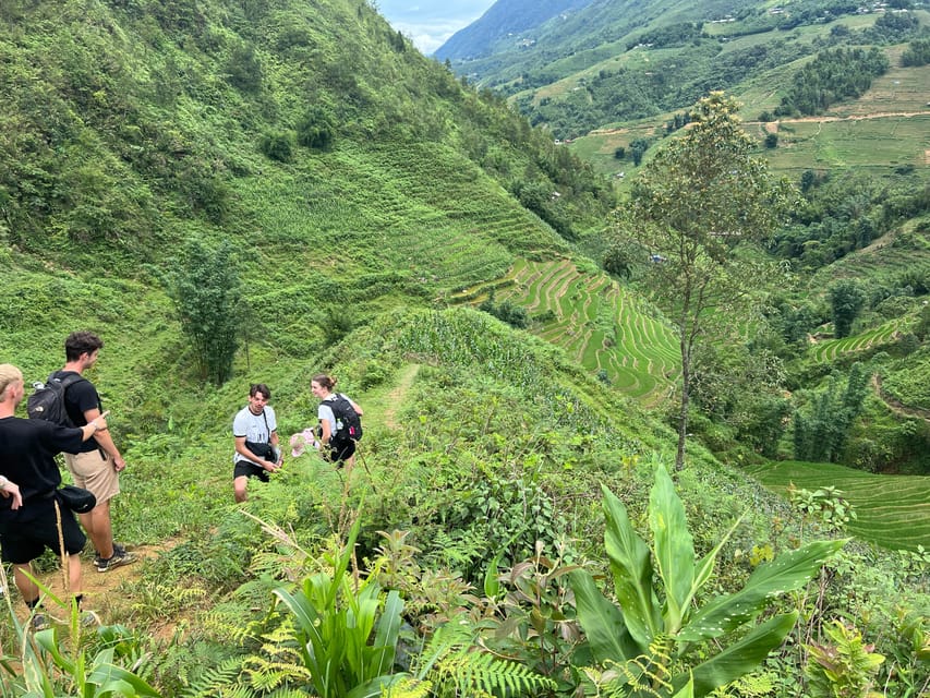 Explore Sapa by TrekkingAdventures, Mountain,Rice fields - Weather, seasons, and the best way to prepare