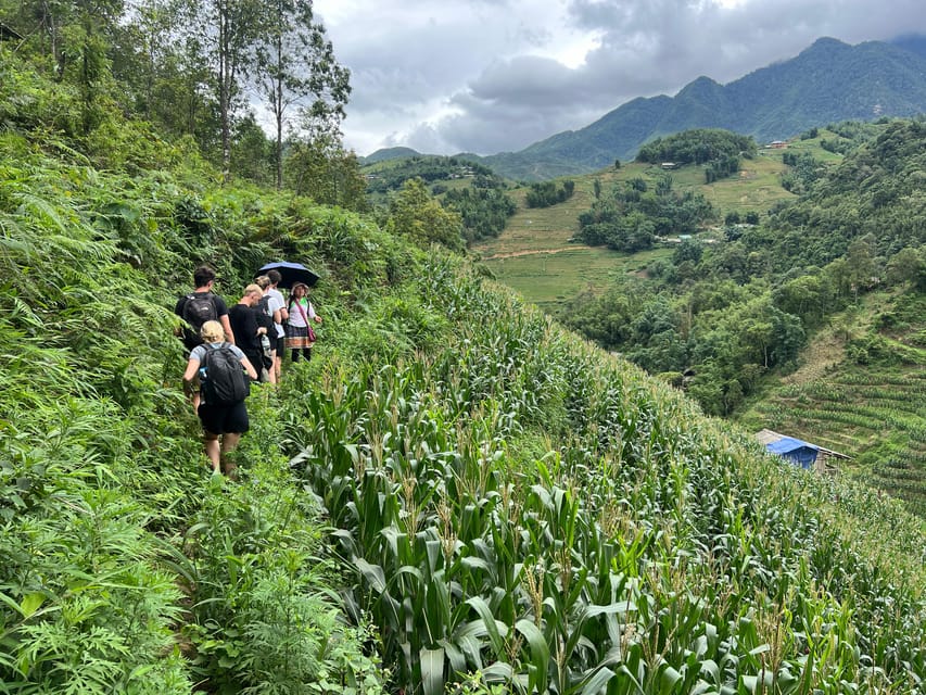 Explore Sapa by TrekkingAdventures, Mountain,Rice fields - Starting in Sapa and heading toward Y Linh Ho