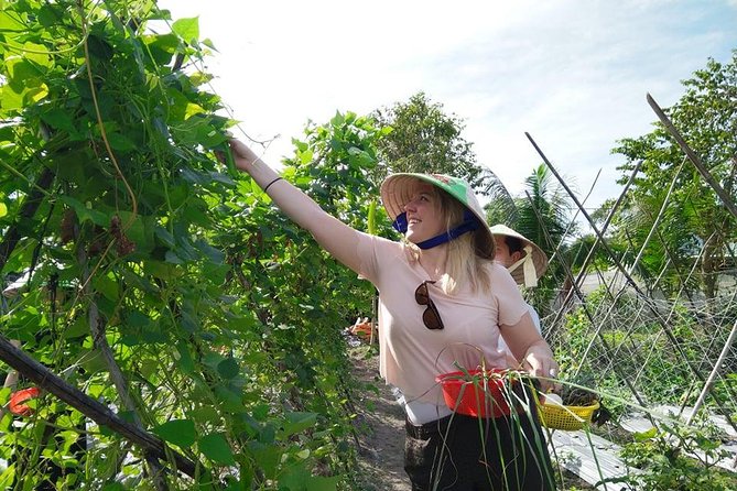Explore Vietnamese Cuisine: Cooking Class from Ho Chi Minh City - Pairing the class with the Cu Chi Tunnels
