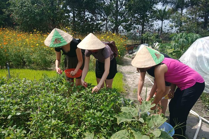 Farm-To-Table Healthy Cooking Class in Ho Chi Minh City - Leaving Ho Chi Minh City for the farm