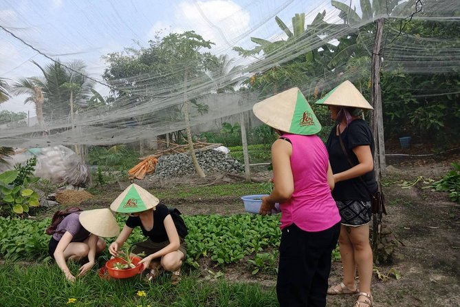 Farm-To-Table Healthy Cooking Class in Ho Chi Minh City - What you take home besides lunch