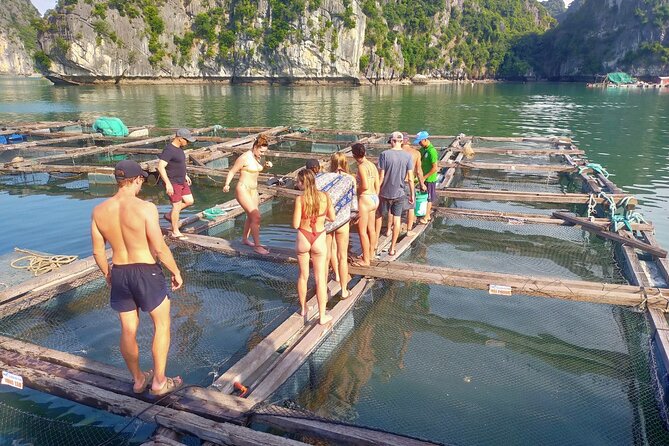 From Ha Noi/Cat Ba: Full-Day Cruise to Lan Ha bay - Ha Long Bay - Why this cruise is a good fit from Cat Ba