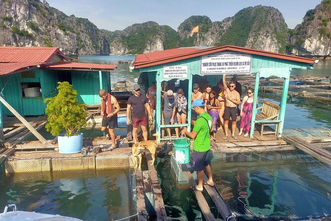 From Ha Noi/Cat Ba: Full-Day Cruise to Lan Ha bay - Ha Long Bay - Starting at Beo Pier and entering Lan Ha Bay