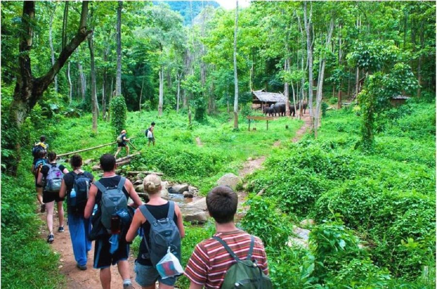 From Hanoi: 2-Day Ha Long Bay Tour with Ninh Binh and Cruise - Key Points at a Glance