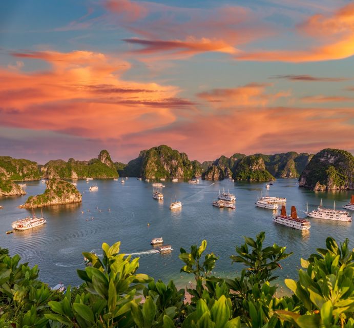 From Hanoi: 2-Day Ha Long Bay Tour with Ninh Binh and Cruise - Lunch with Vietnamese Dishes