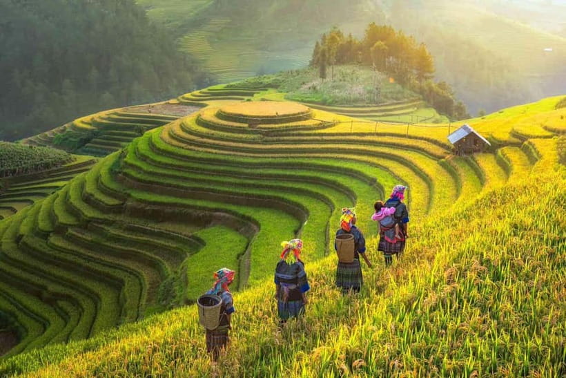 From Hanoi: 2-Day Luxury Sapa Trekking Tour with Homestay - Walking from Y Linh Ho to Lao Chai