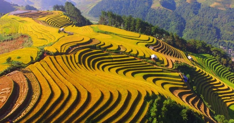 From Hanoi: 2-Day Luxury Sapa Trekking Tour with Homestay - Lunch and downtime in Ta Van village