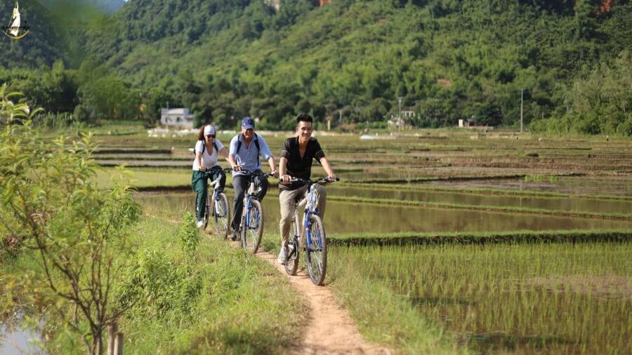 From Hanoi: 2-Day Ninh Binh Tour with Ha Long Bay Cruise - Sung Sot Cave reveals Halong Bay’s grand scale