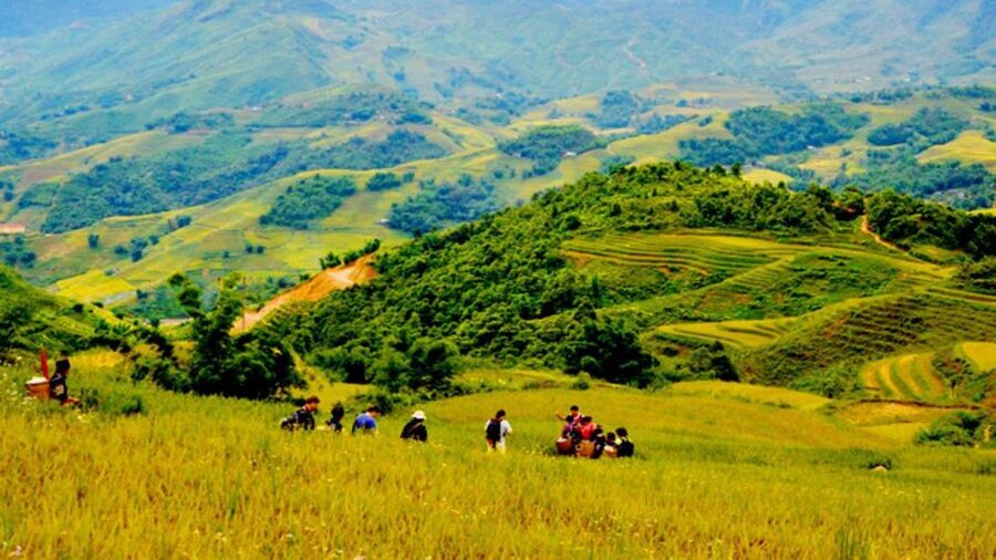 From Hanoi: 2-Day Overnight Sapa Tour by Limousine - What the guides add to the walk