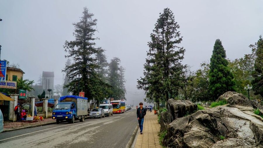 From Hanoi: 2-Day Overnight Sapa Tour by Limousine - Meals and daily comfort