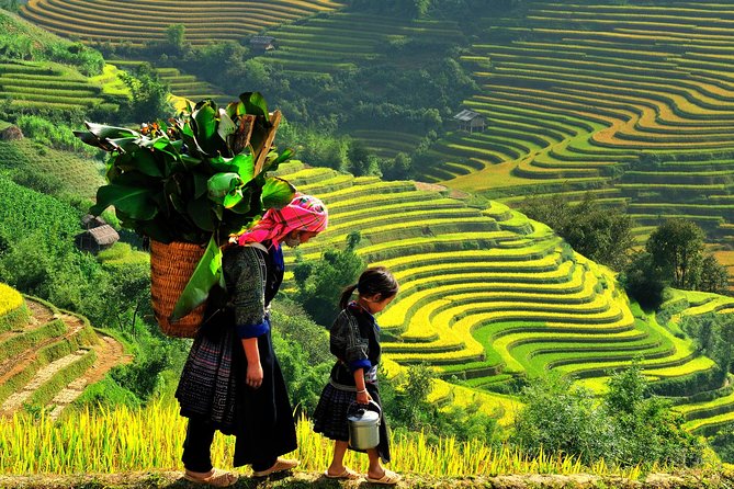 From Hanoi: 2-Day Overnight Sapa Tour by Luxury Van Limousine - What the $117 price really covers