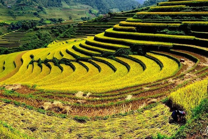 From Hanoi: 2-Day Overnight Sapa Tour by Luxury Van Limousine - Overnight choices: hotel comfort or homestay character