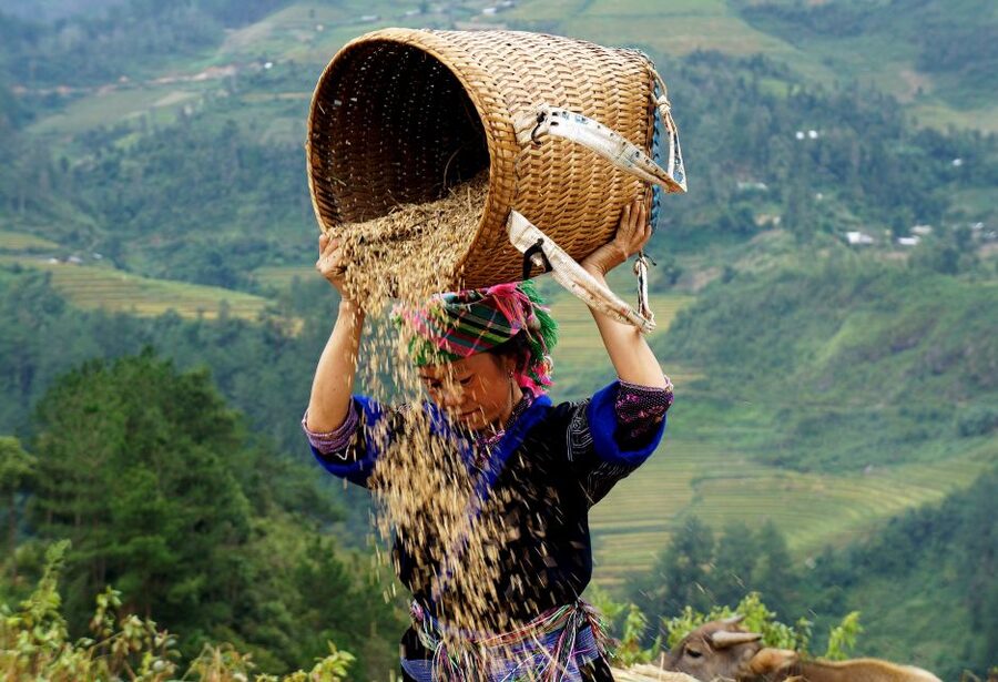 From Hanoi: 2-Day Sapa Cultural Exchange Tour with Homestay - An evening with a Dzay family in Ta Van