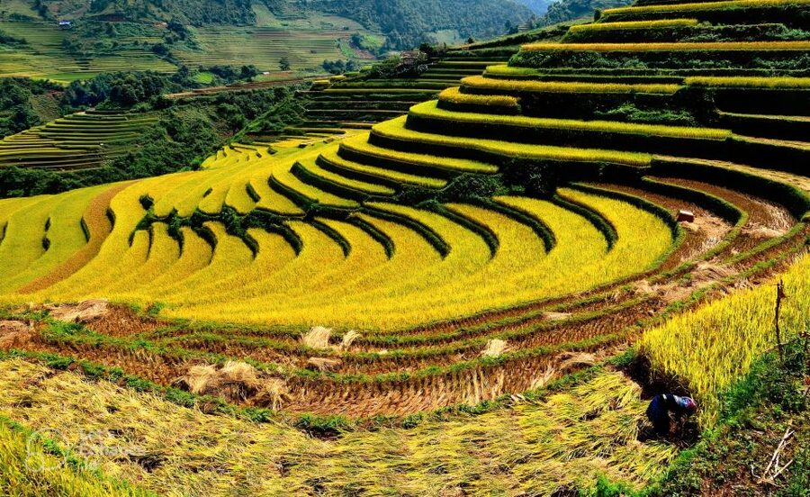 From Hanoi: 2-Day Sapa-Fansipan Peak & Trek & Ha Giang Bus - Returning to Hanoi or continuing to Ha Giang