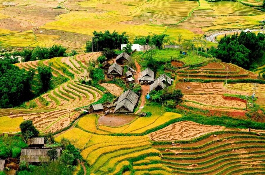 From Hanoi: 2-Day Sapa Trekking Trip with Homestay & Meals - Quick take: what makes this Sapa trip special