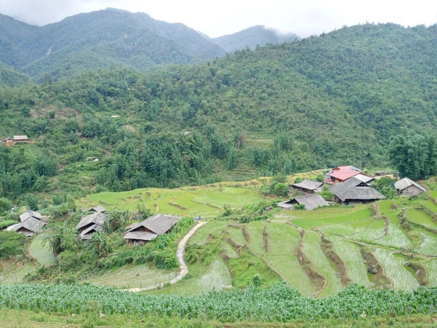 From Hanoi: 2-Day Sapa Trekking Trip with Homestay & Meals - Fitness, weather, and what to pack