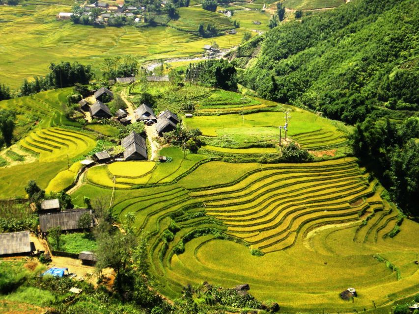 From Hanoi: 2-Day Sapa Trekking Trip with Homestay & Meals - Day two: bamboo forest or farm work