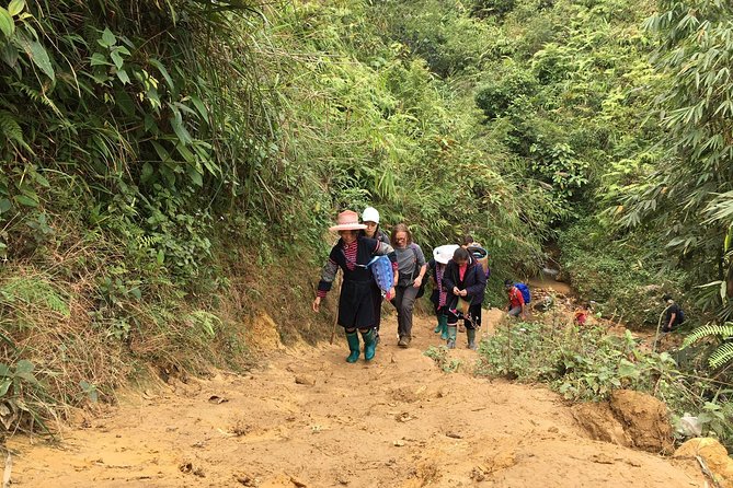 From Hanoi: 2 Days Sapa Trek & Fansipan Adventure with Dcar - Walking downhill to Cat Cat Village
