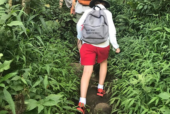 From Hanoi: 3 Days Luxury Sapa Trek & Fansipan Peak with Dcar - Ham Rong, the Dragon’s Jaw, on Day 3