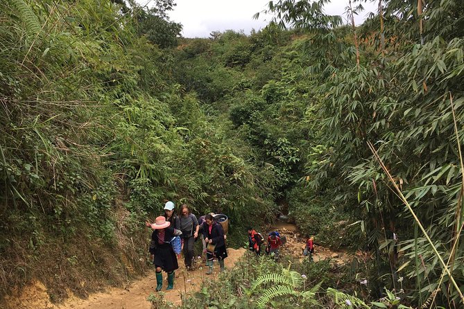 From Hanoi: 3 Days Luxury Sapa Trek & Fansipan Peak with Dcar - The long ride home to Hanoi