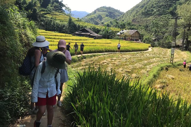 From Hanoi: 3 Days Luxury Sapa Trek & Fansipan Peak with Dcar - Cat Cat Village on Day 2